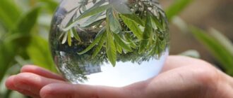 61 dfcrpnnl. ac uf10001000 ql80