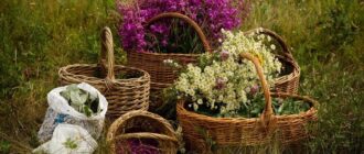 9f83763ffe102ccc634f5701b960fd08