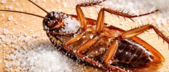 photo 2026 03 09 10 05 04 e1773039966298