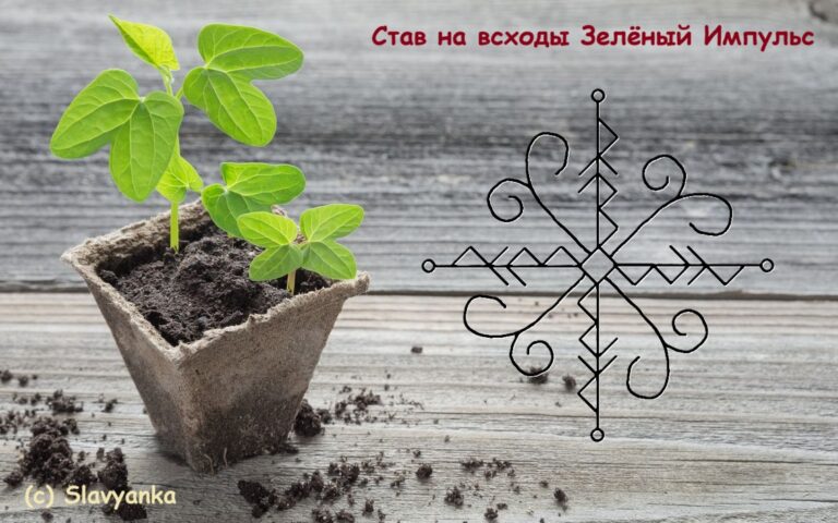 Став на всходы Зелёный Импульс