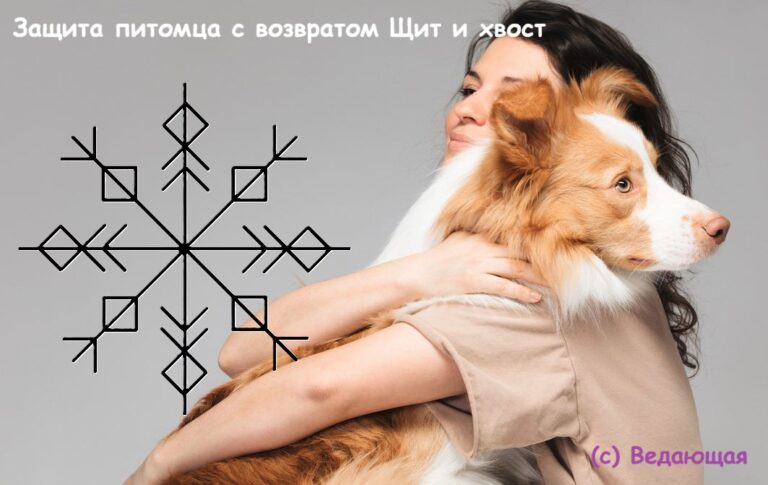 Защита питомца с возвратом Щит и хвост