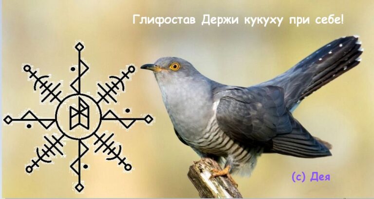 Глифостав Держи кукуху при себе!