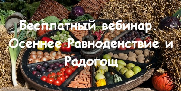 ЛадоДея club